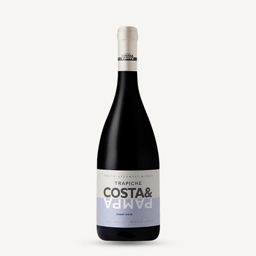 Costa & Pampa Trapiche Pinot Noir
