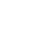 03 (1)