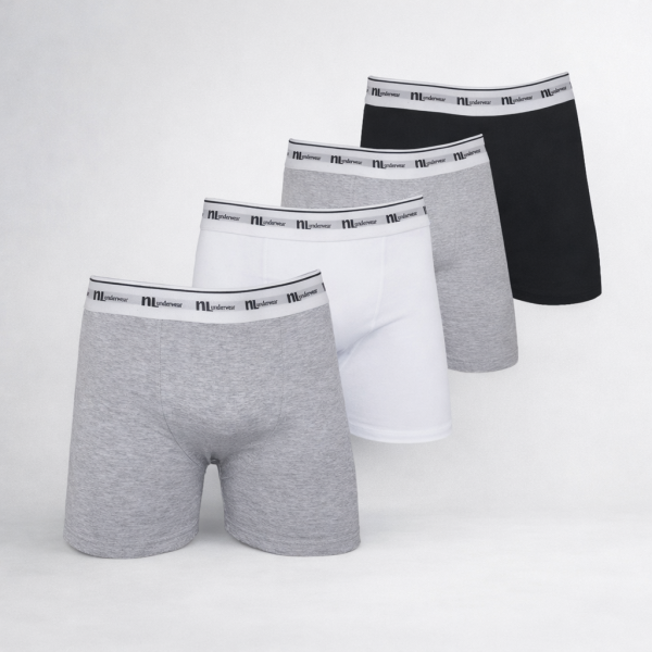 Kit cuecas 4 unidades